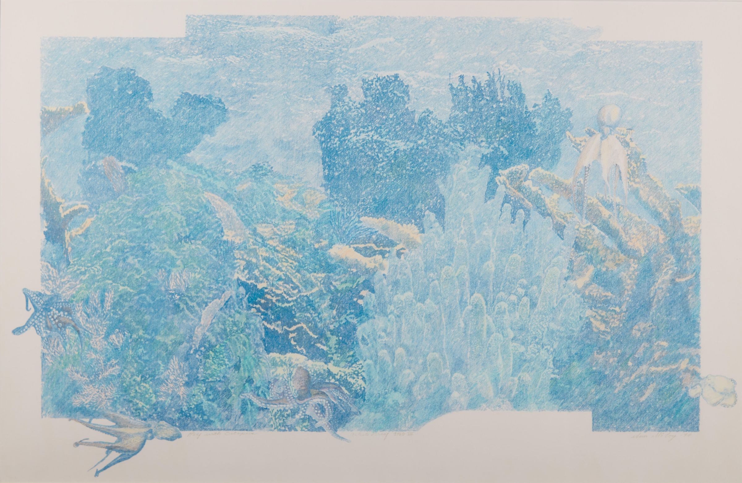 Reef with Octopus