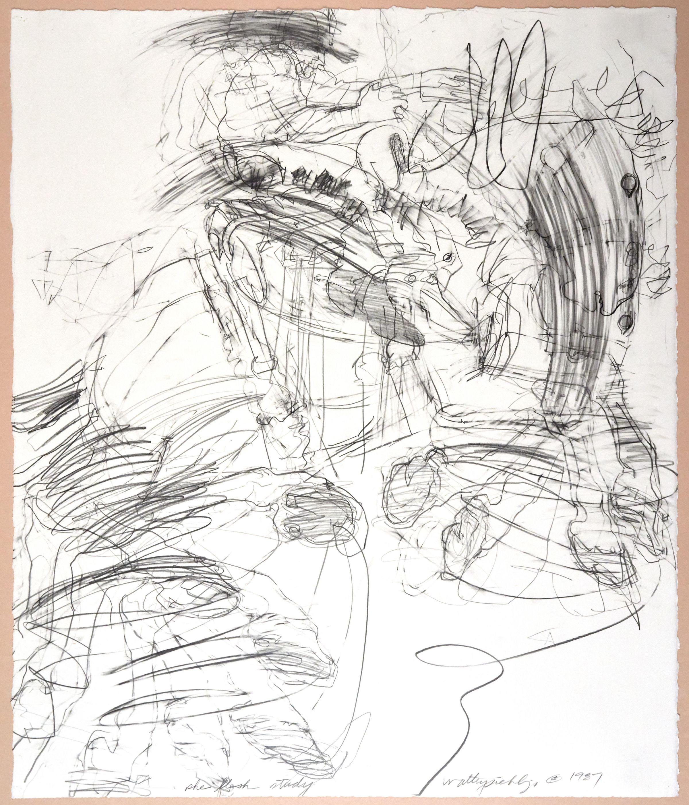 She Flesh Study