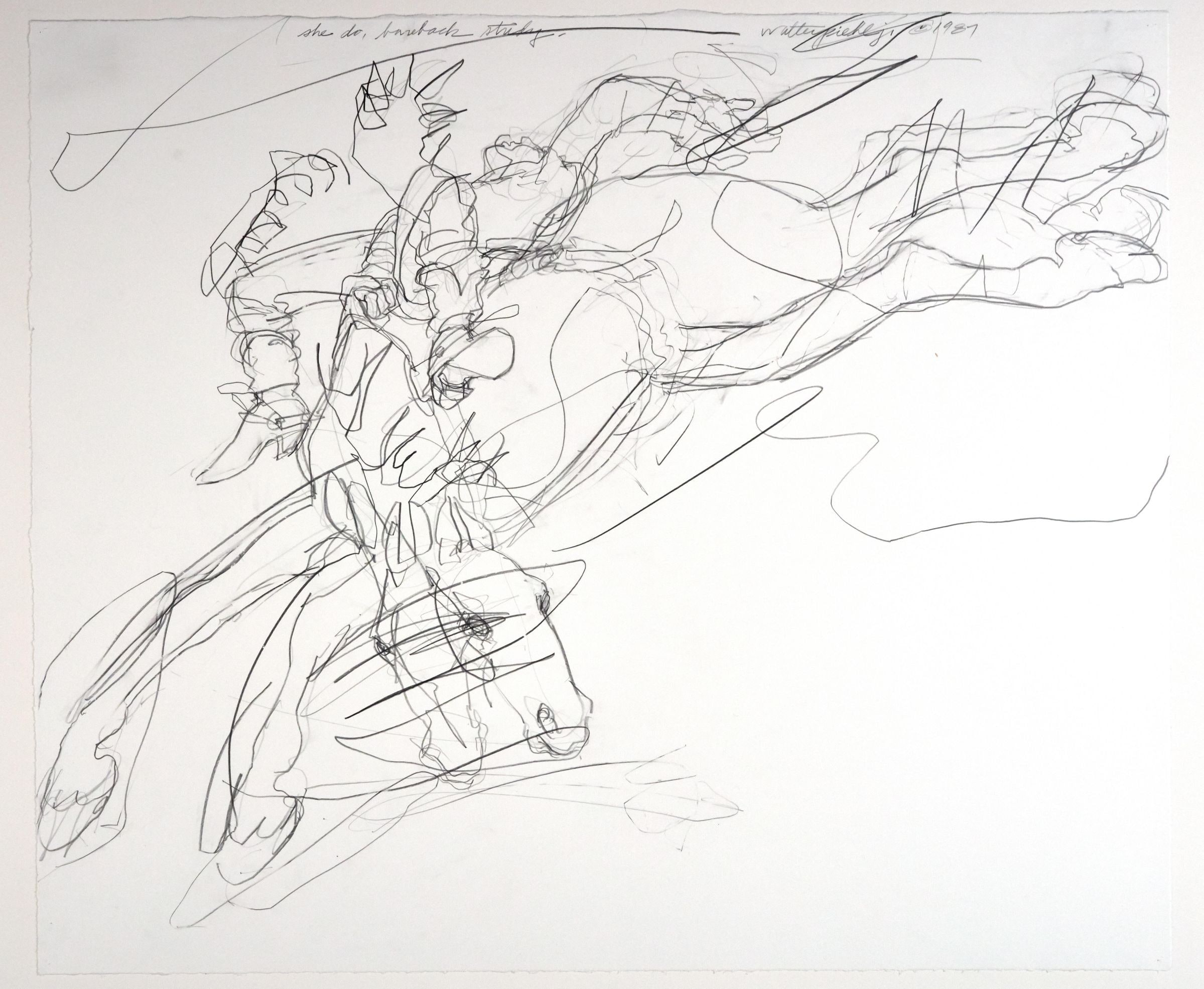 She do Bareback Study
