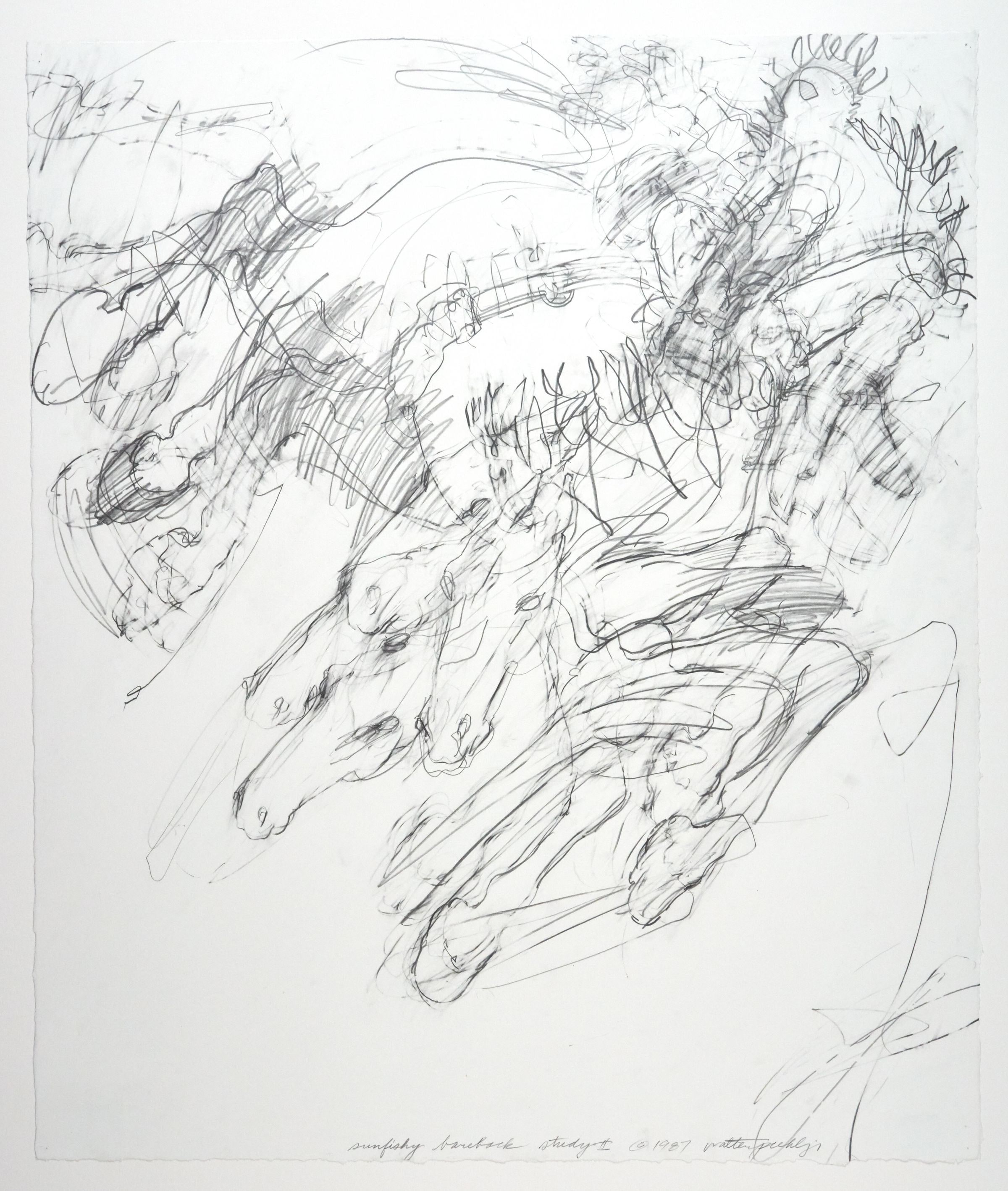 Sunfishy Bareback Study II