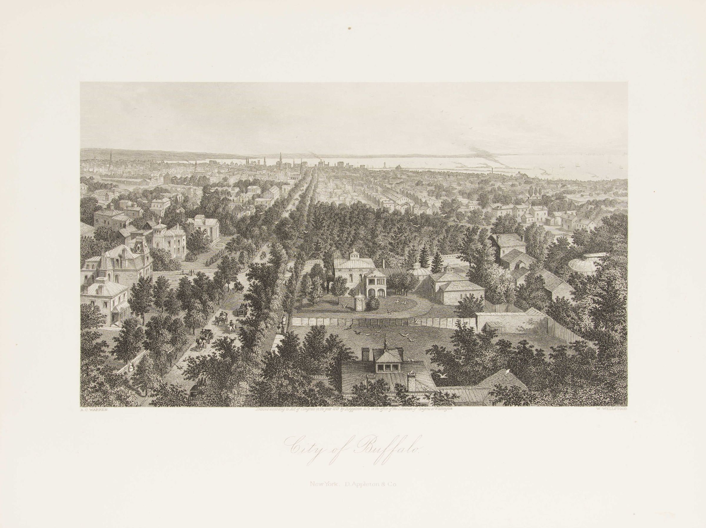 City of Buffalo