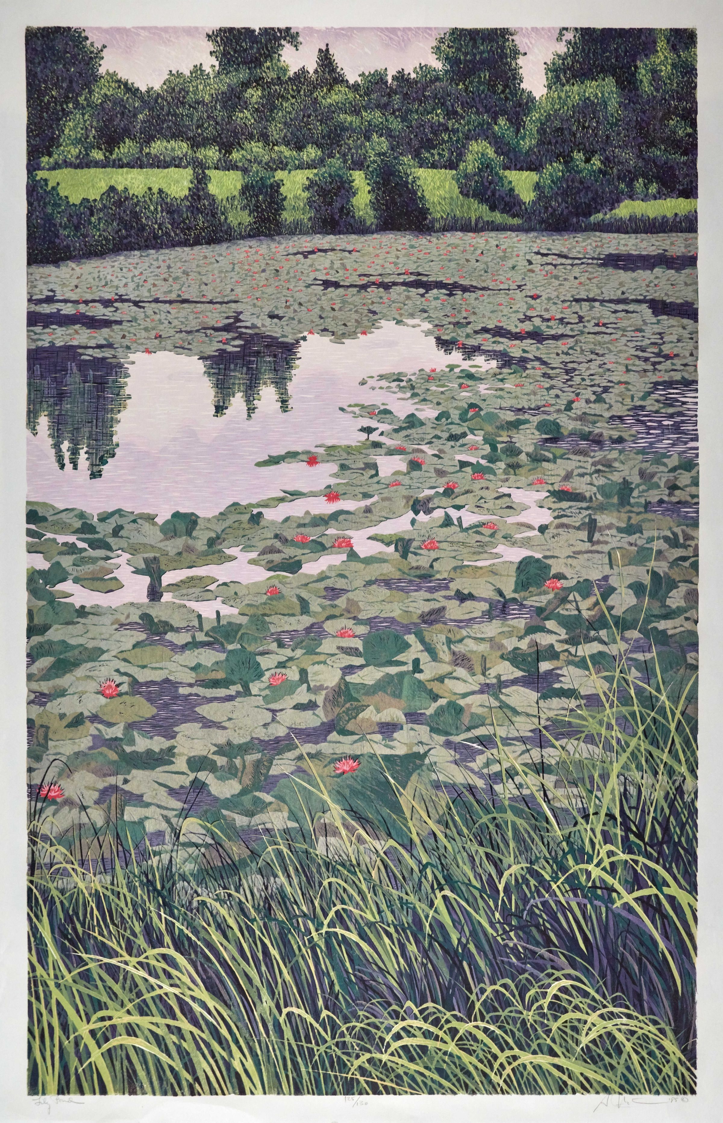 Lily Pond