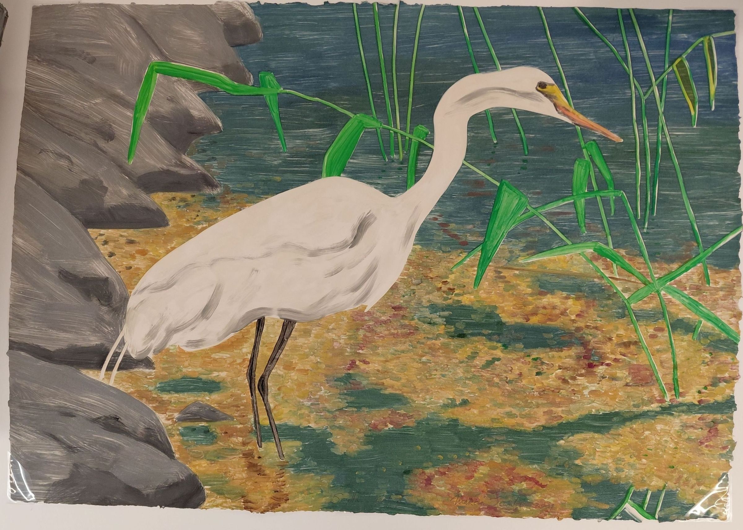 Scylla/Egret II