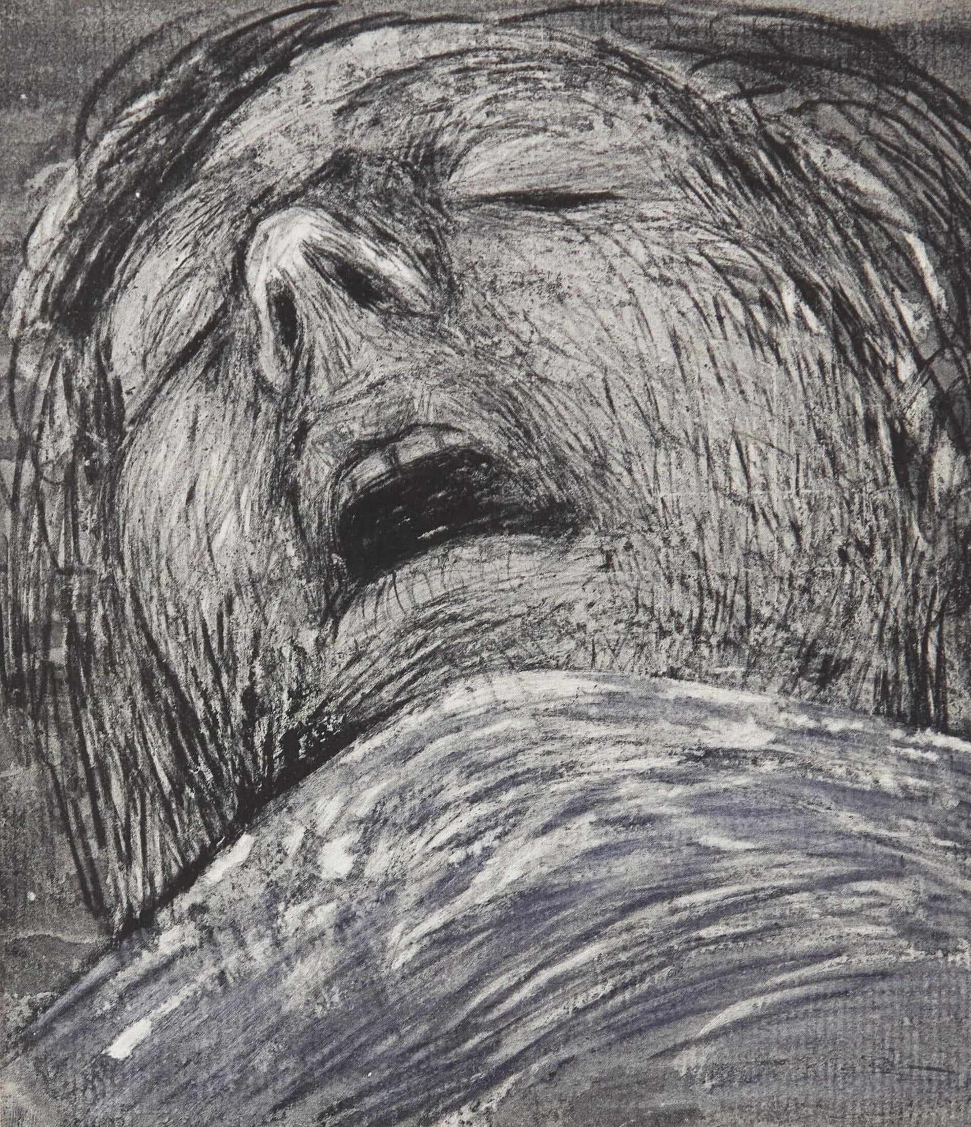 Shelter Sketch