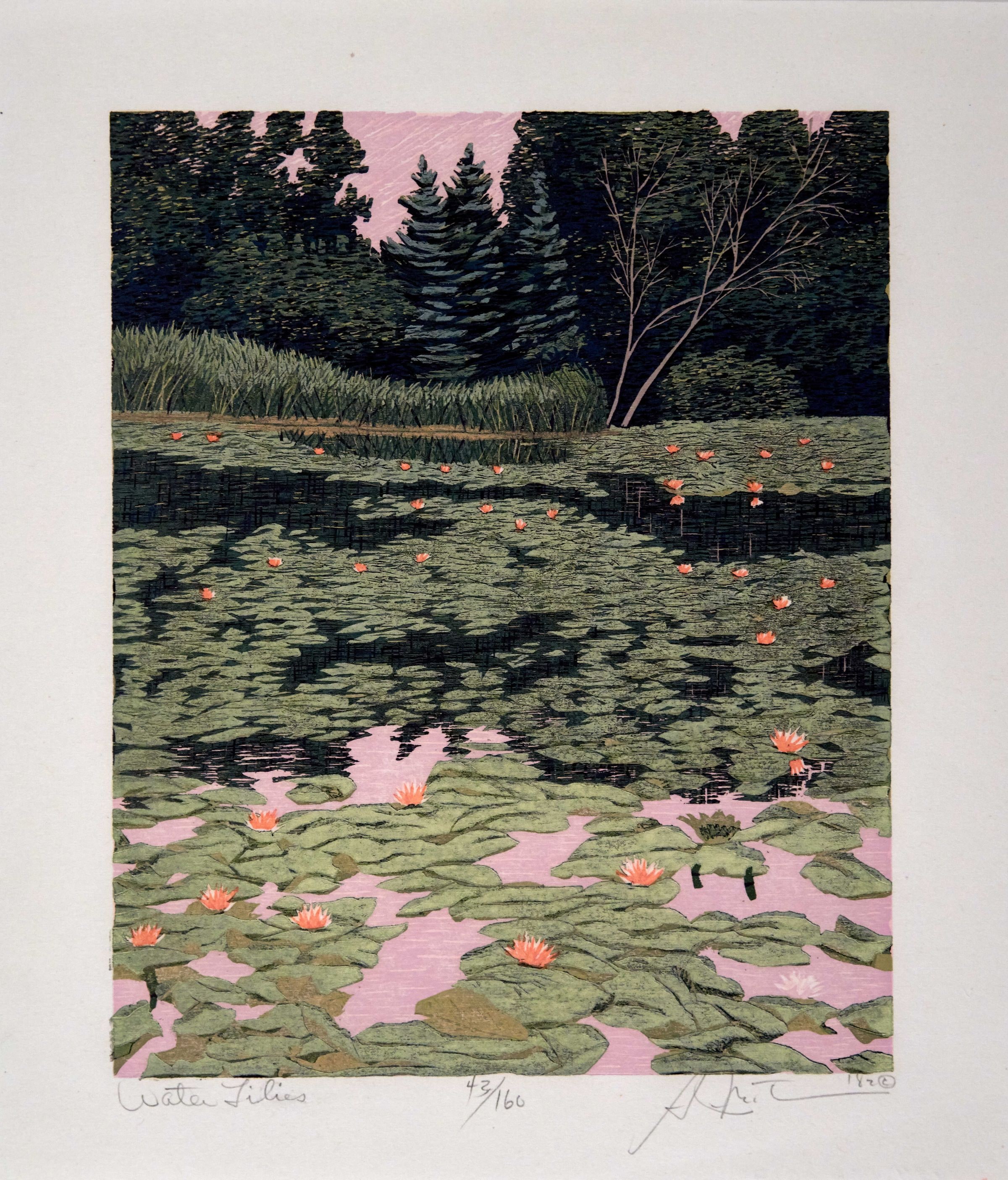 Water Lilies