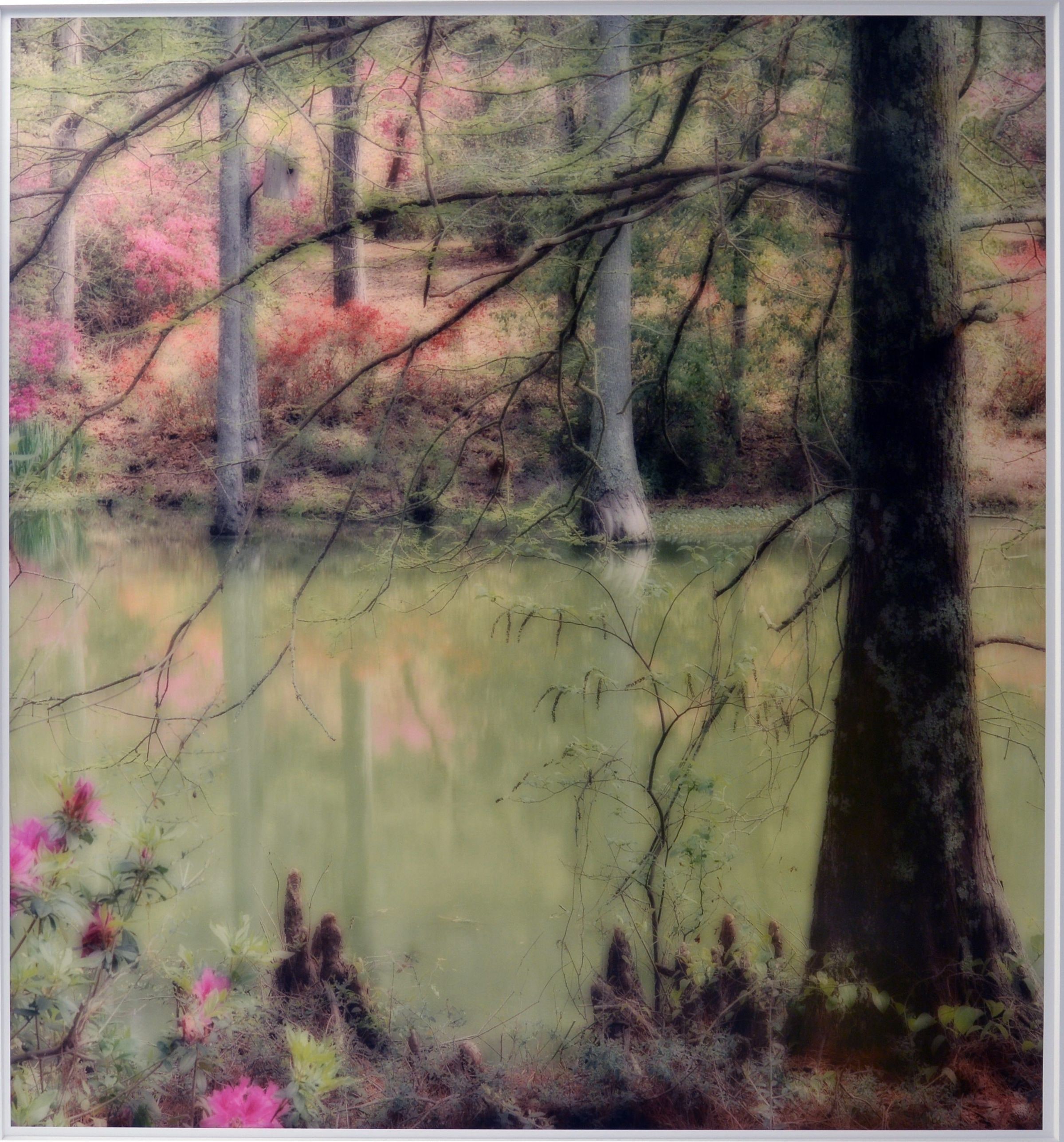 Zemurray Gardens, Louisiana