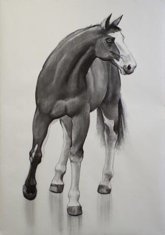 Mask Horse