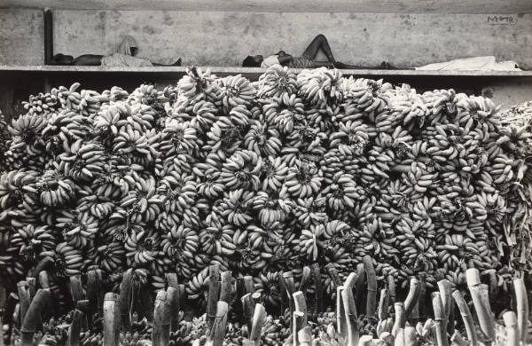 Bananas, Bombay