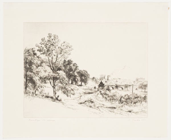 Brooklyn Landscape