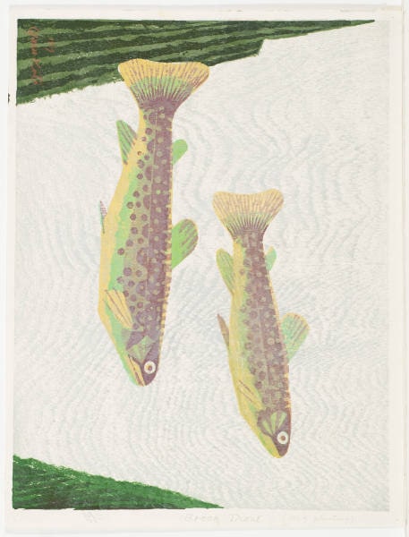 Brook Trout