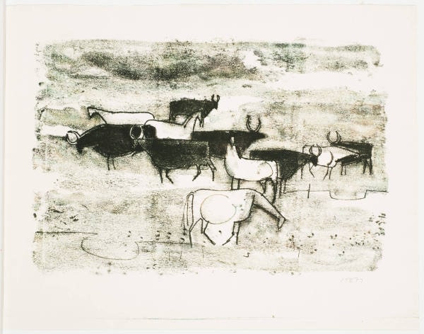 Bulls and Horses