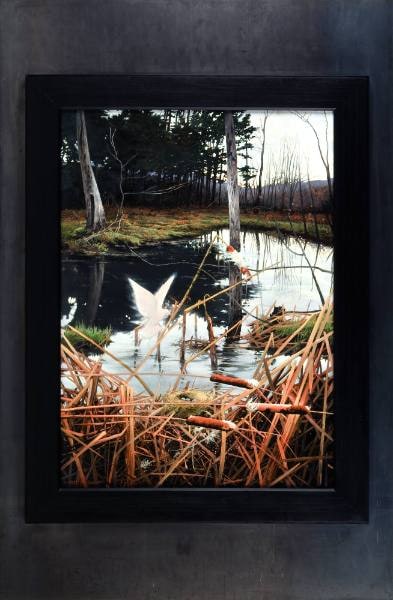 Cattail Family