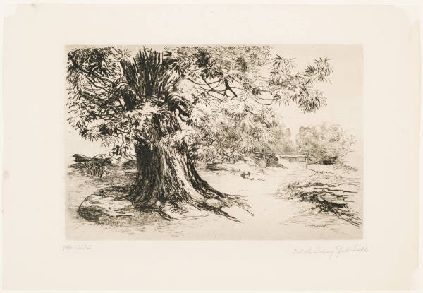 Chestnut Tree