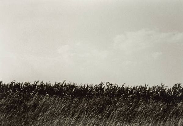 Cornfield (Columbus, Ohio)