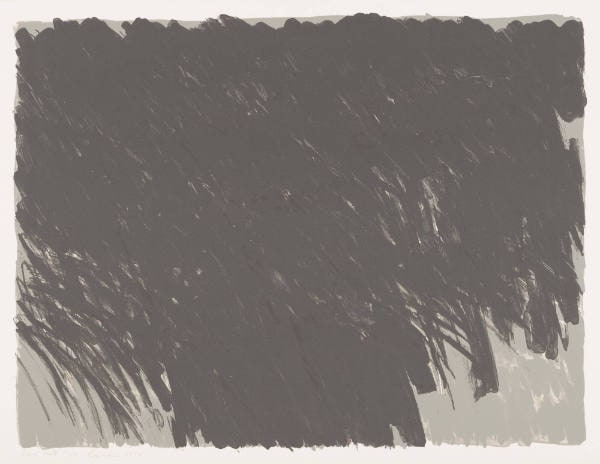 Dark Field