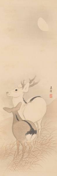 Deer