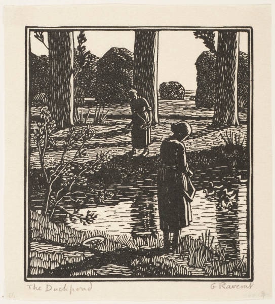 The Duckpond