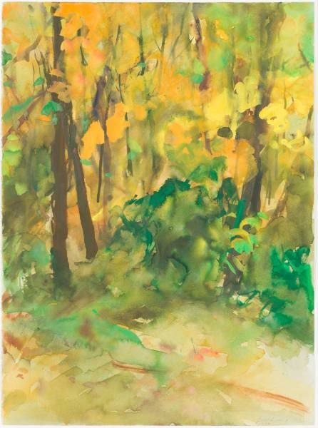 Fall Scene