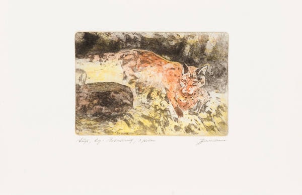Fox (Fuchs)