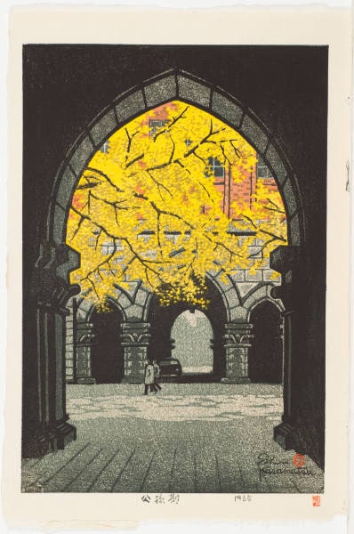 Ginko Tree in Autumn, Tokyo University (Todai), 1965