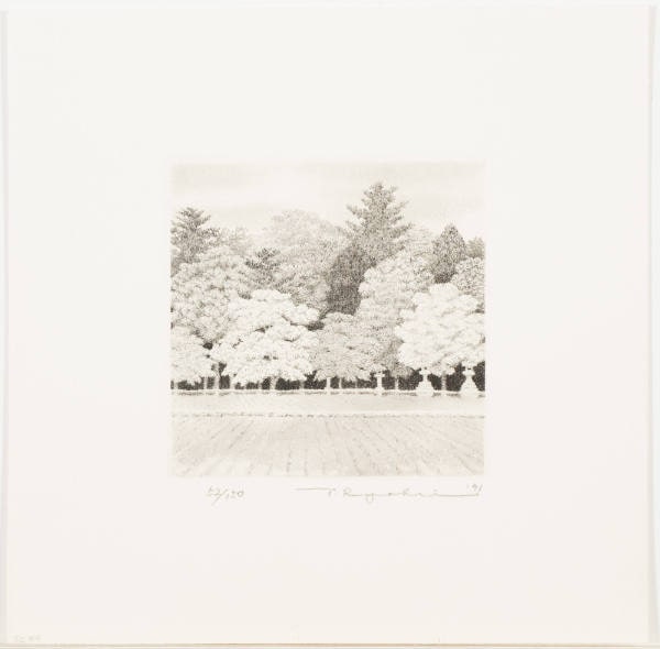 Grove #4 (Mori #4)