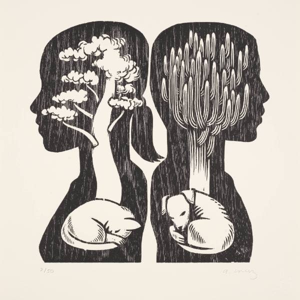 Igualdad / Equality