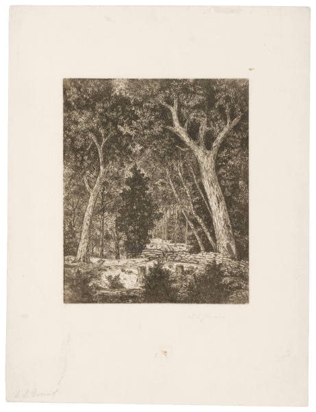 Landscape