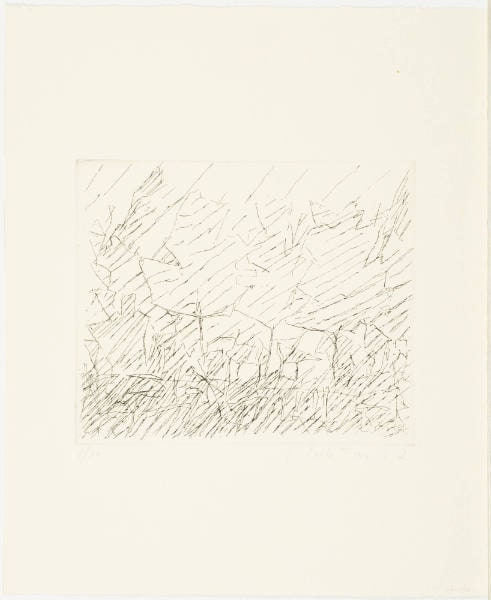 Landscape in