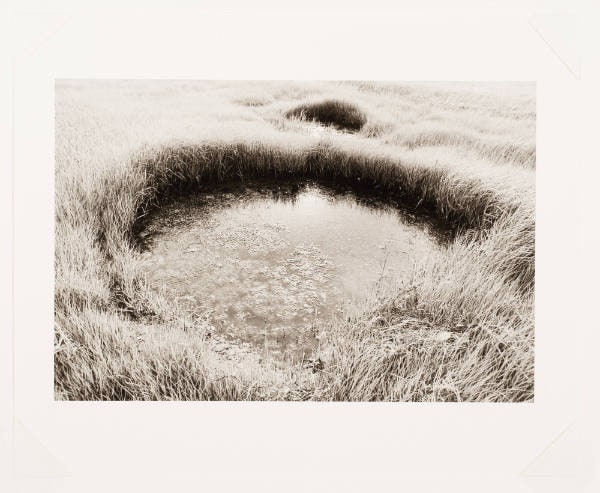 Marsh Light