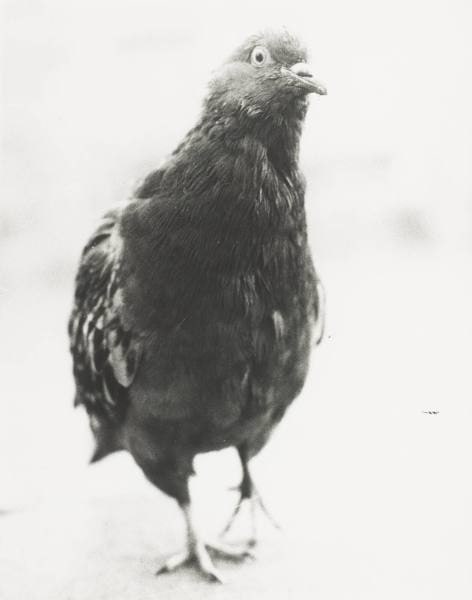 Martha I