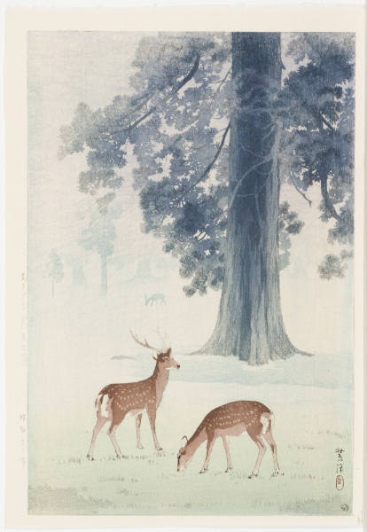 Morning Mist (Nara Park) [Asagiri (Nara koen)]