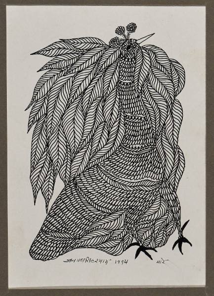 Mor (Peacock)