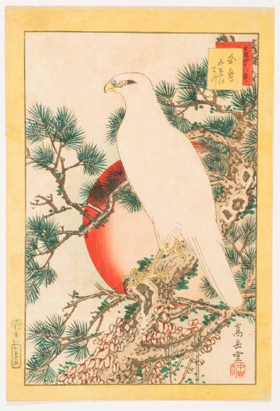 No. 1, White Hawk on Five-Needled Pine (Shirataka Goyō No Matsu)