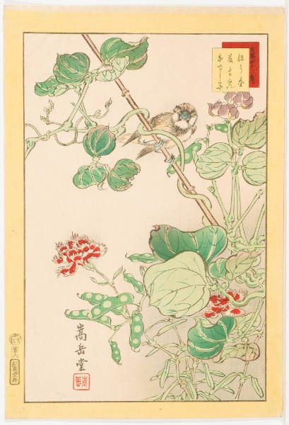 No. 6, Japanese Bunting and Egyptian Kidney-Bean Pinks (Hōjiro fujimame nadeshiko)
