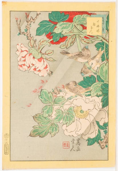 No. 15, Uloroncho Domestico and Peony (Jūshimai botan)
