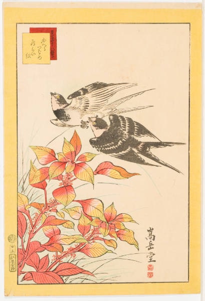 No. 25, Swallows and Cocks Comb (Kaeru tsubame beni)