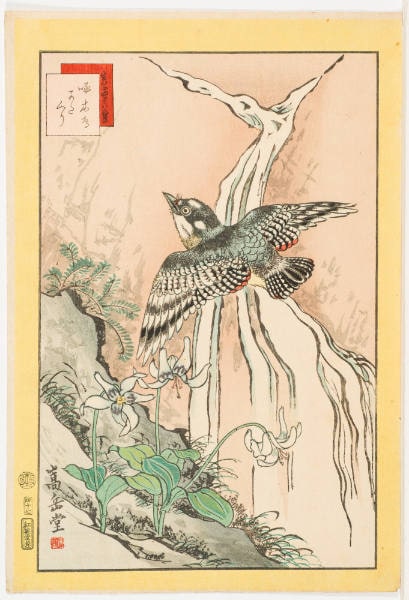 No. 47, Woodpecker and Dogtooth Violet (Kitataki katakuri)