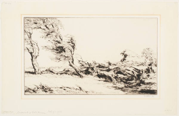 Path of a Gale