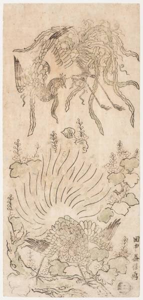 Phoenix and Peacock