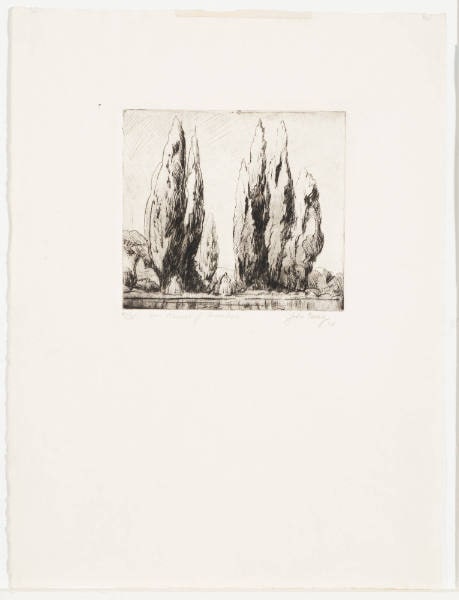 Poplars