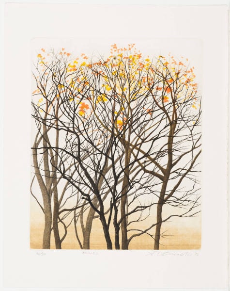 Rhythm of Autumn
