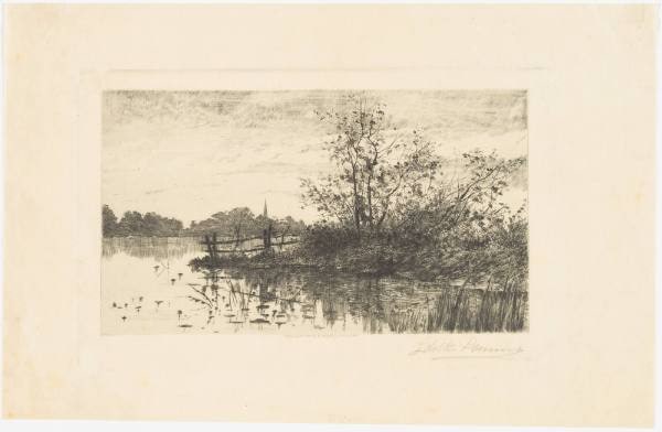 River Landscape