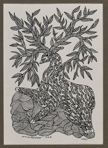 Samare (Indian Wormwood and Ibex)