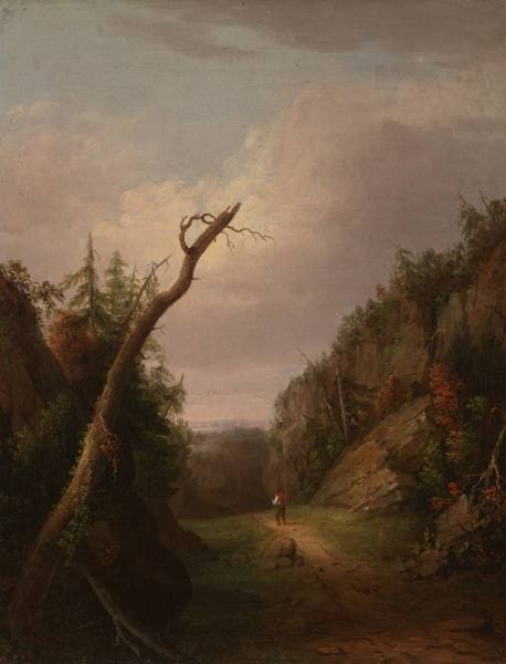 Scene Near Hawk's Nest