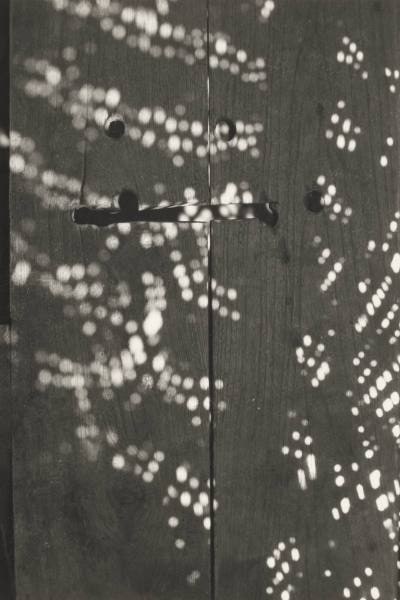 Shadows on Wooden Gate, Calcutta
