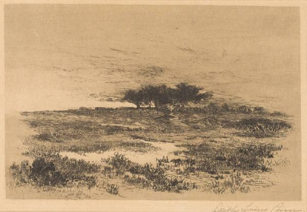 Solitude, Pecks Beach, NJ