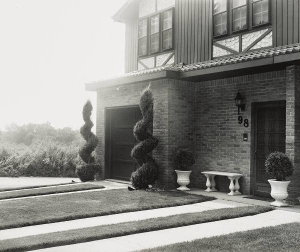 Spiral Bushes at No. 98, from the series Summer Days Staten Island