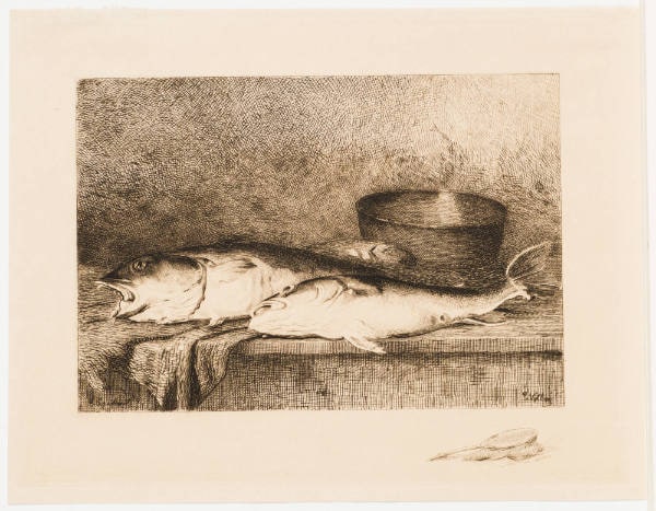 Still Life