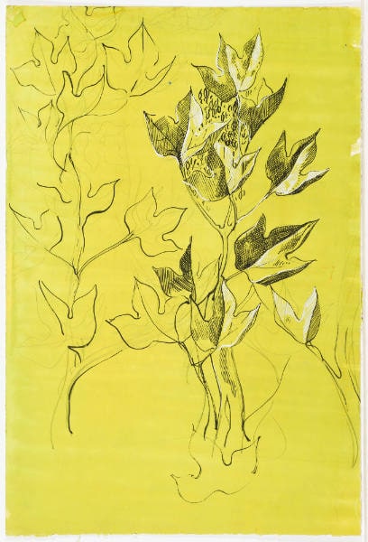 Textile Design