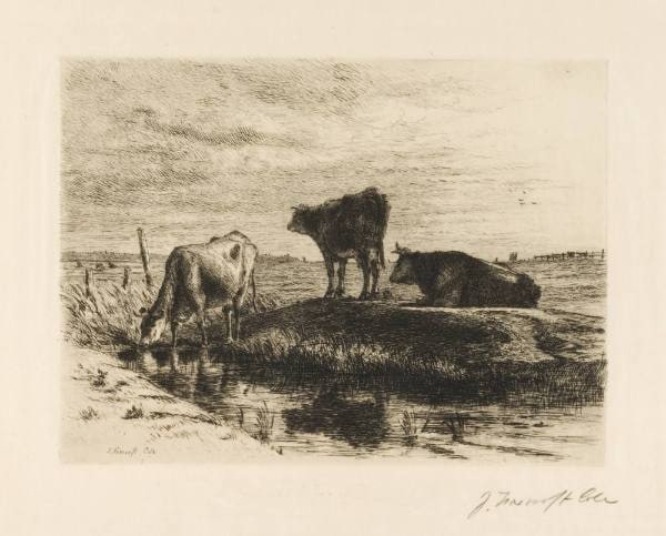 The Three Cows
